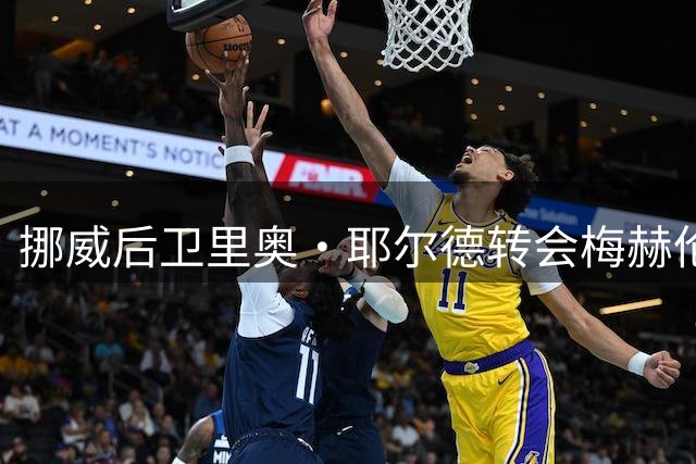 挪威后卫里奥·耶尔德转会梅赫伦，签约五年