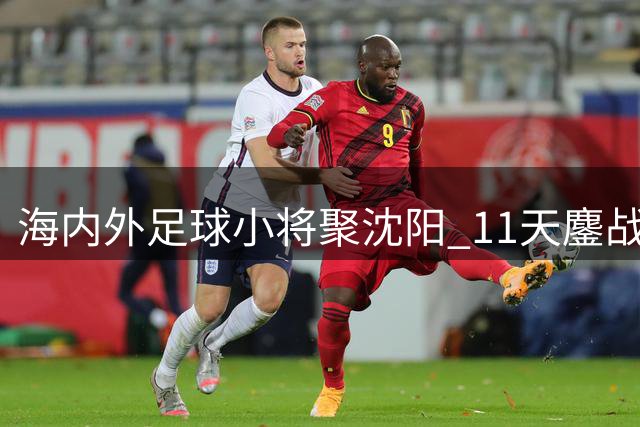 海内外足球小将聚沈阳 11天鏖战千余场比赛-国际在线